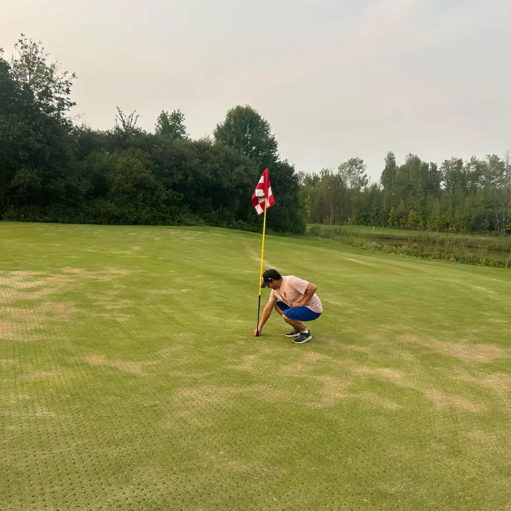 heron landing golf course