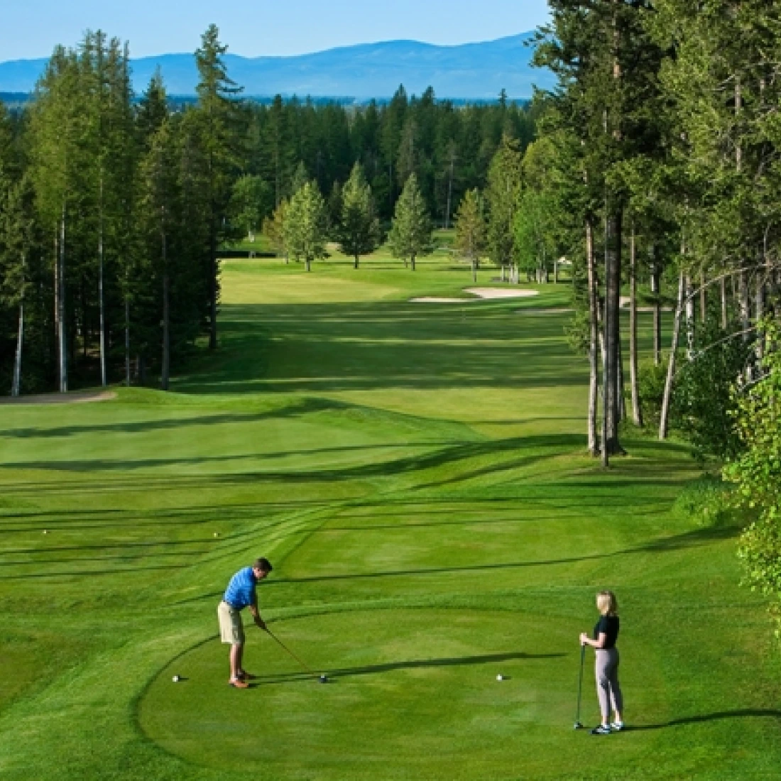 Meadow Lake Golf Play