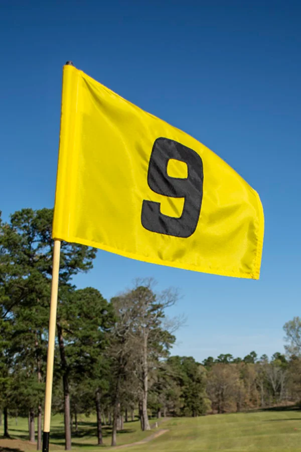 flag 9 flag 9