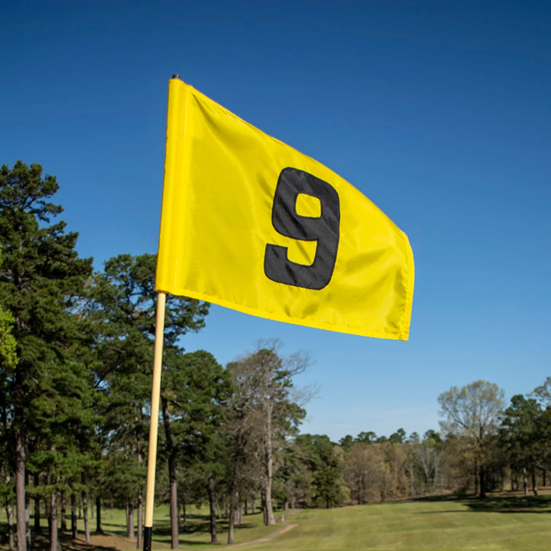 flag 9 flag 9