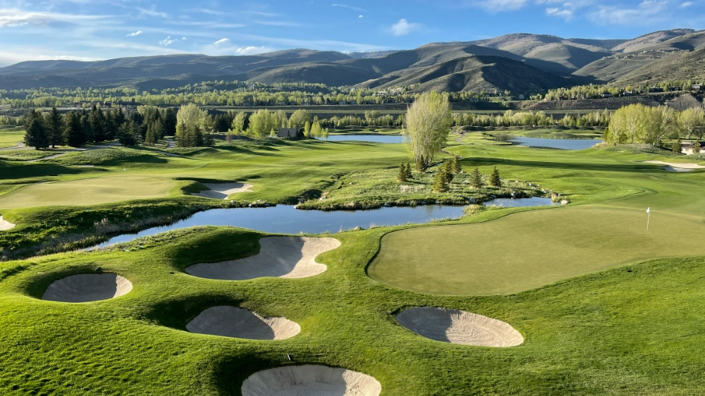 Player National template stock 3