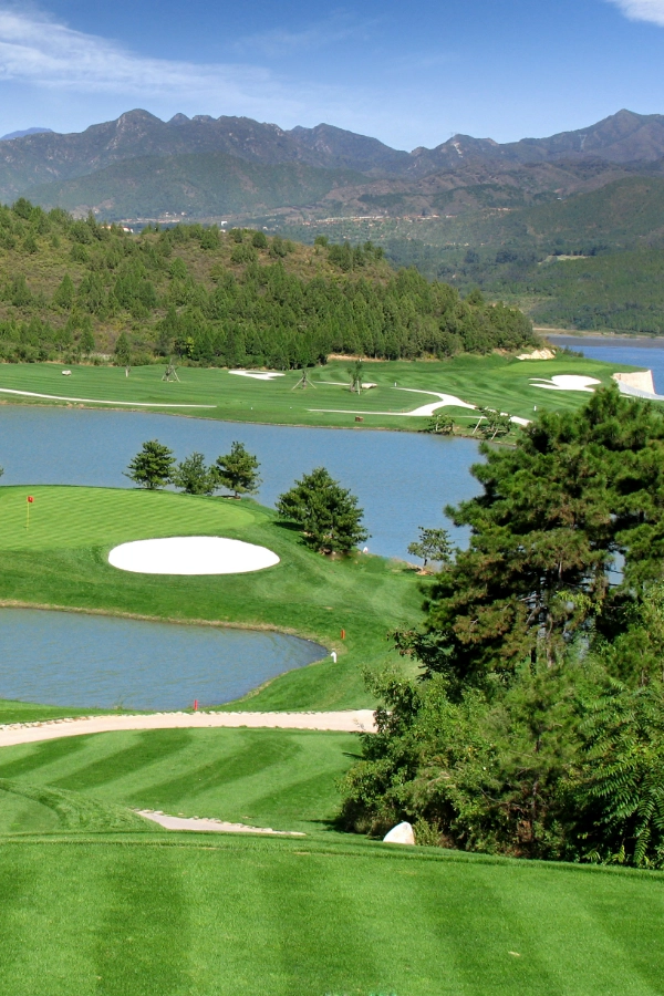 woods golf club stock homepage gallery 6005900 x woods golf club stock homepage gallery 6005900 x