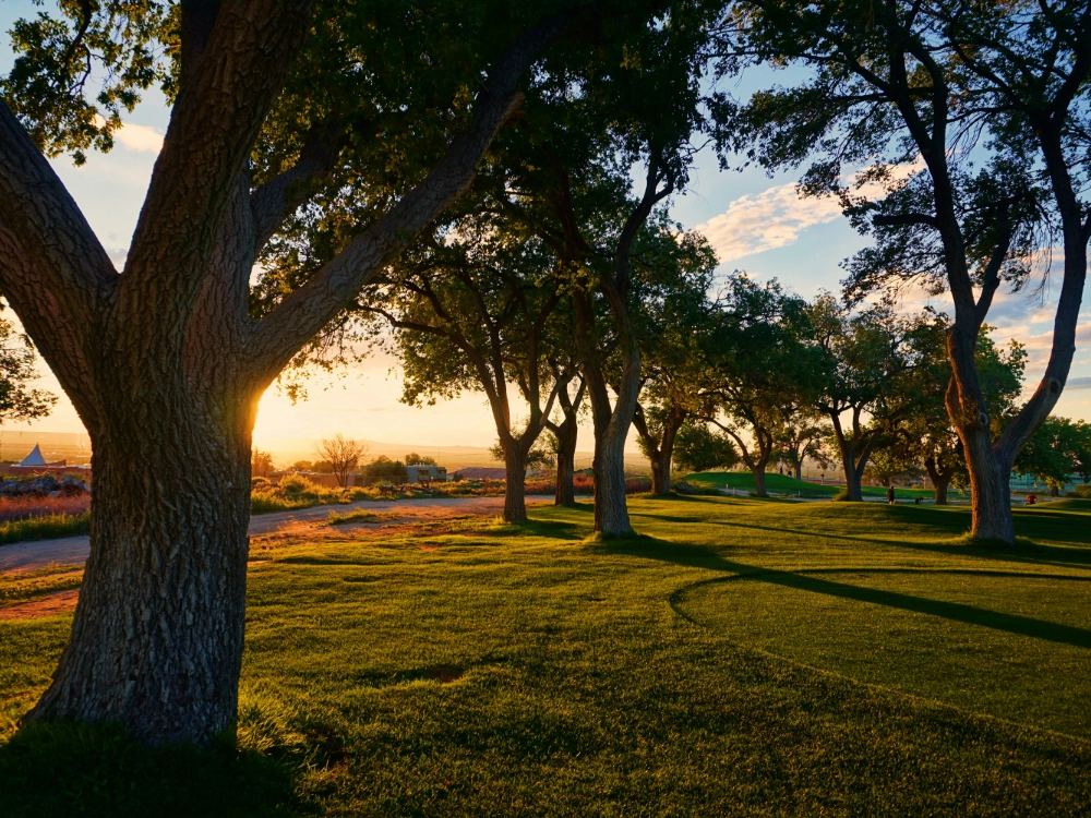 woods template internal stock 6 woods template internal stock 6